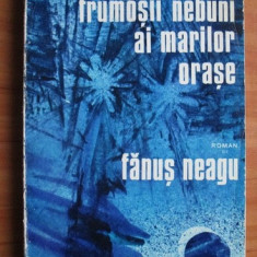 Fanus Neagu - Frumosii nebuni ai marilor orase