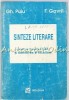 Sinteze Literare Gh. Puiu, F. Gavril, Moldova Iasi 1995, 350 pagini, Istorie, Critica literara
