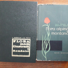 Flora mica ilustrata + Flora alpina si montana / R4P1F