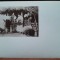 Carte postala, Femei la tara, in costume populare, perioada interbelica