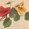 1911 CP ilustrata litho, tema flori, circulata Fulgeresti Baneasa, jud. COVURLUI