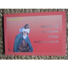 Words of Wisdon from Mawlana