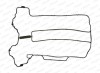 PAYEN JM5121 Garnitura, capac supape