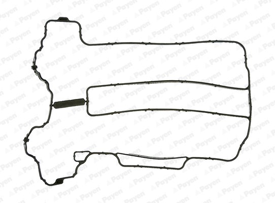PAYEN JM5121 Garnitura, capac supape