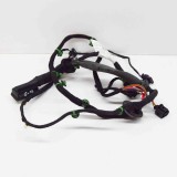 Cablaj ușă dreapta spate PORSCHE PANAMERA 971 2018 OEM: 971.974.294.E,971974294E,971.971.693,971.971.734.B,971971693,971971734B 11761630