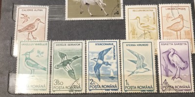 (H) Timbre Serii Romania Pasari foto