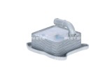 NRF 31260 Radiator ulei, ulei motor