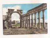 FA153 - Carte Postala - SIRIA - Palmyra. Arch of Triumph, circulata 1967