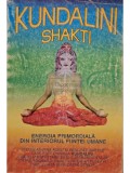Swami Narayanananda - Kundalini Shakti - Energia primordiala din interiorul fiintei umane (Editia: 1994)