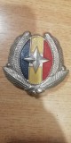 QW14 - Emblema militara - anii 1990 - serviciI - piesa de colectie