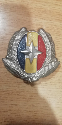 QW14 - Emblema militara - anii 1990 - serviciI - piesa de colectie foto
