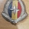 QW14 - Emblema militara - anii 1990 - serviciI - piesa de colectie