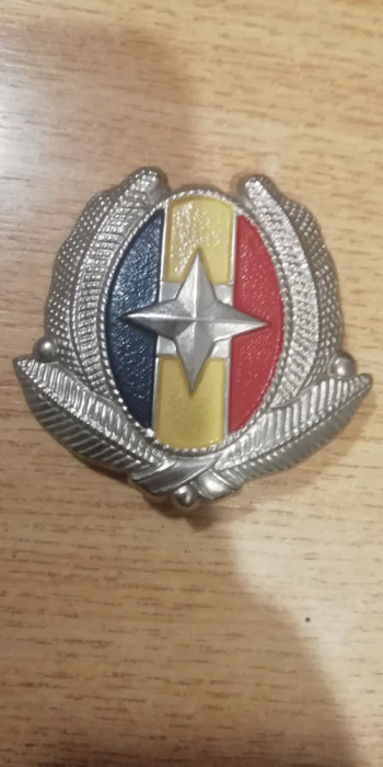 QW14 - Emblema militara - anii 1990 - serviciI - piesa de colectie
