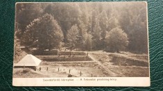1917 - Sovata, ferma de pastrav (jud. Mures) foto
