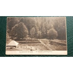 1917 - Sovata, ferma de pastrav (jud. Mures)