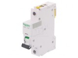&Icirc;ntrerupător de Supracurent 40A 1P 230V D