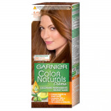 Vopsea de Par Permanenta Garnier Color Naturals 6.41, Chihlimbar Dulce, 110 ml, Fara Amoniac, Vopsea de Par, Vopsea de Par Permanenta, Vopsea de Par G