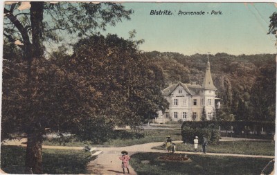 CP Bistrita Bistritz Parcul ND(1913) foto