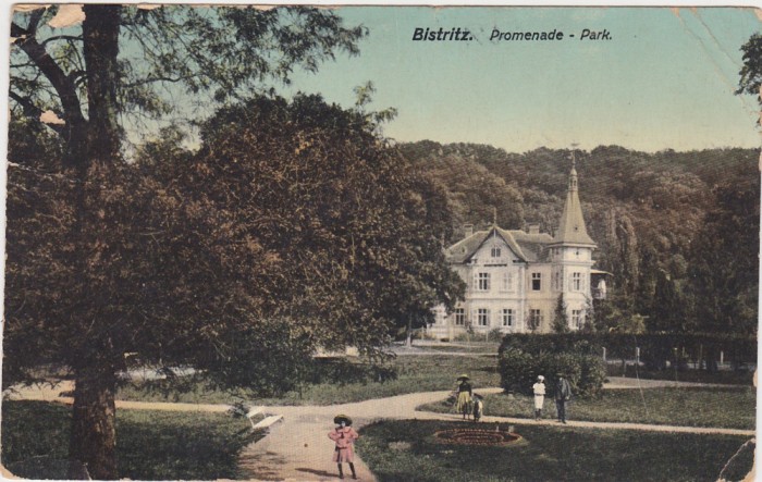 CP Bistrita Bistritz Parcul ND(1913)
