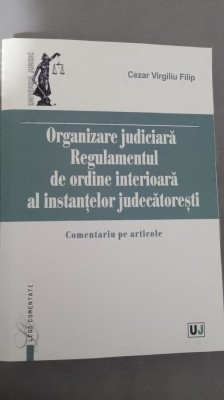 Cezar Virgiliu Filip - Organizare judiciara foto