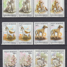 1994 LP 1367 PUI DE ANIMALE DOMESTICE PERECHE SERII MNH