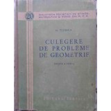 CULEGERE DE PROBLEME DE GEOMETRIE-GABRIELA TITEICA-338266
