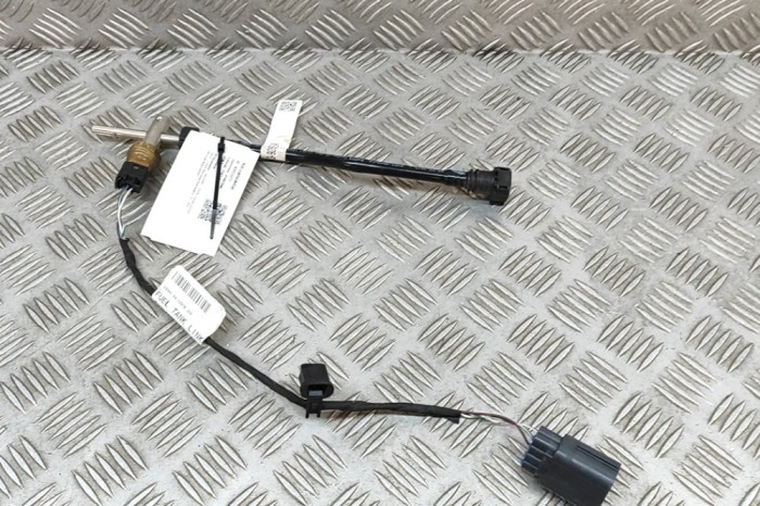 Conducta de combustibil JAGUAR F-TYPE Coupe X152 2020 OEM: FX53-9C062-BB,FX53-9289-EA | 28112277