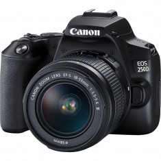 Aparat foto DSLR Canon EOS 250D 24Mpx WiFi Black Kit EF-S 18-55 DC III foto