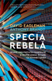 Specia rebelă Anthony Brandt, David Eagleman - Humanitas