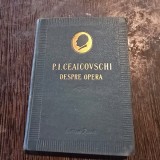 Despre opera - P.I. Ceaicovschi