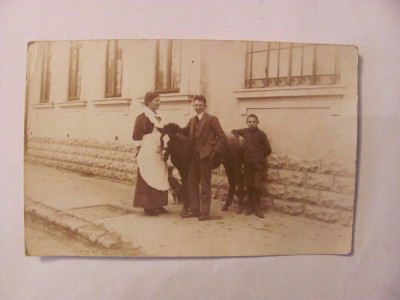 PVM - Ilustrata BUCURESTI oameni cal catel 1917 necirculata foto