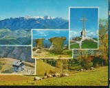 CPI B12394 CARTE POSTALA - MUNTII BUCEGI, MOZAIC
