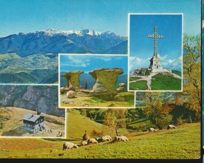 CPI B12394 CARTE POSTALA - MUNTII BUCEGI, MOZAIC foto