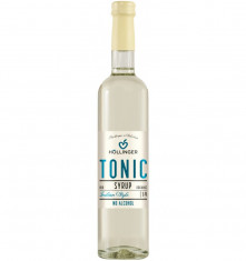 Sirop bio tonic 1:9 Indian Style, fara alcool, 500ml Hollinger foto