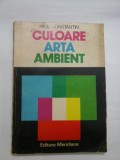 CULOARE,ARTA,AMBIENT - PAUL CONSTANTIN