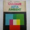 CULOARE,ARTA,AMBIENT - PAUL CONSTANTIN