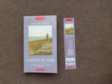 CASTELUL DE NISIP de IRIS MURDOCH