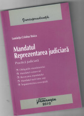 Mandatul. Reprezentarea judiciara, Luminita Cristina Stoica foto