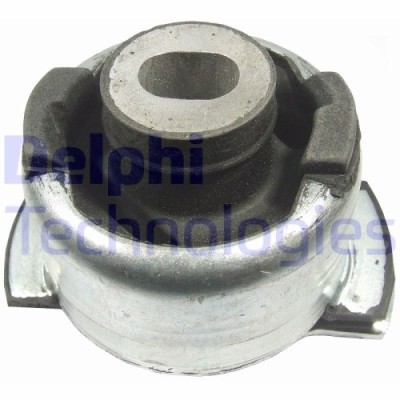 Delphi suport, ax foto