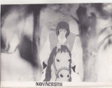 bnk foto - Novacestii - fotografie de panou 24x18 cm