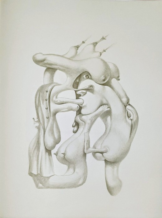Jules PERAHIM - Compozitie Erotica 8, Heliogravura pe hartie Arches, 1972