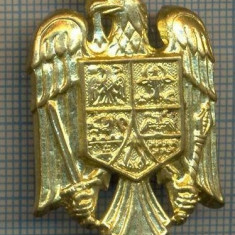 Y 1548 INSIGNA-MILITARA -EMBLEMA COIFURA -PENTRU COLECTIONARI