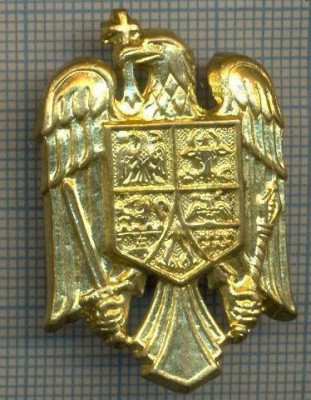 Y 1548 INSIGNA-MILITARA -EMBLEMA COIFURA -PENTRU COLECTIONARI foto