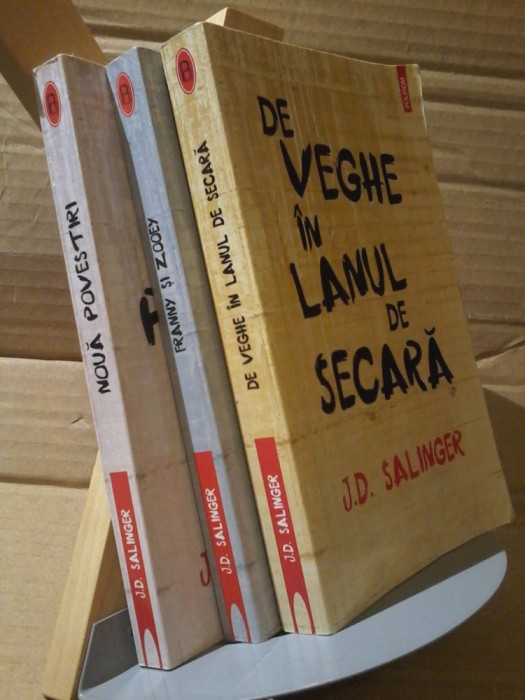 J. D. Salinger-De veghe in lanul de secara, Noua povestiri, Franny si Zooey