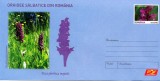 ROMANIA 2007, Orhidee salbatice din Romania, Flora, intreg postal