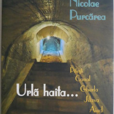 Urla haita... Pitesti, Canal, Gherla, Jilava, Aiud – Nicolae Pucarea