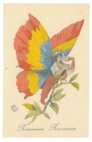 2537 - Romanian FLAG, Butterfly - old postcard - unused