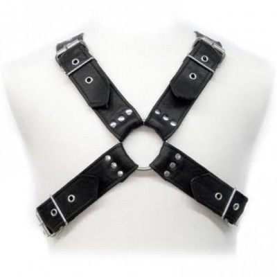 LEATHER BODY - BUCKLES HARNESS foto