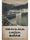 Sanda Nicolau - CEAHLAUL SI LACUL BICAZ