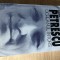 Radu Petrescu - Ocheanul intors (Editura Allfa, 2000; editia a II-a)